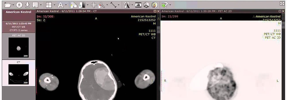 DICOM-PACS-on-HighQualityBlog